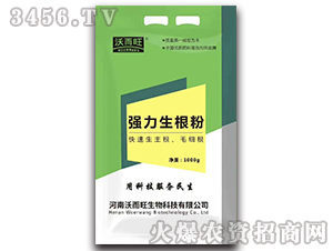 (qing)ۣ1000g-ֶ