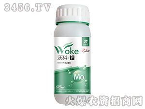 1000mlֿơf-