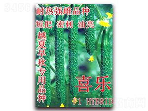 喜樂-黃瓜種子-冠盛農(nóng)業(yè)