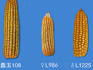 108-׷N-