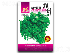 大葉香菜-香菜種子-聯(lián)創(chuàng)