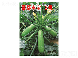 菜都豐寶2號(hào)-西葫蘆種子-菜都萬(wàn)盛