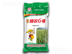 15kg博農(nóng)6號-小麥種子-博農(nóng)