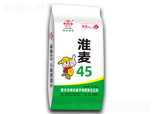 淮麥45-小麥種子-博農(nóng)