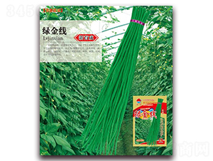 綠金線-豇豆種子-華農(nóng)種業(yè)