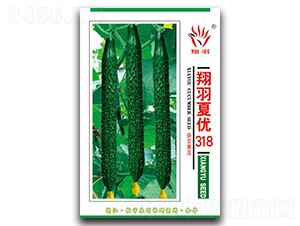 翔羽夏優(yōu)318-黃瓜種子-京密種業(yè)