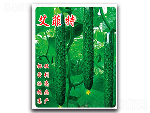 艾菲特-黃瓜種子-農(nóng)人農(nóng)業(yè)