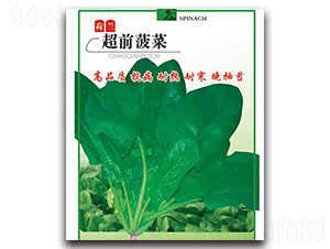 超前菠菜-菠菜種子-中創(chuàng)智豐