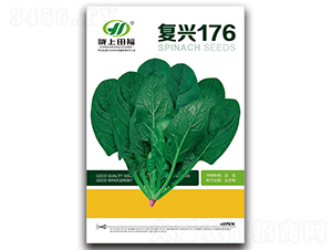 復(fù)興176-菠菜種子-田福農(nóng)業(yè)