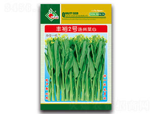 豐裕2號連州菜心-菜心種子-豐裕農(nóng)業(yè)