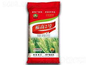 福高2號(hào)-小麥種子-福豐