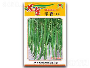 辛香12號-線椒種子-農望