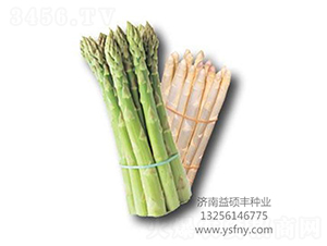 利姆-20F1-蘆筍種子-益碩豐農(nóng)業(yè)