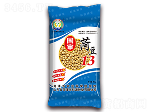 菏豆13-大豆種子-科源種業(yè)