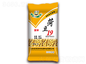 菏豆19-大豆種子-科源種業(yè)