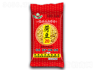 菏豆20-大豆種子-科源種業(yè)