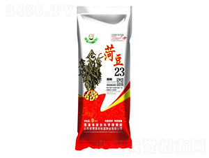 菏豆23-大豆種子-科源種業(yè)