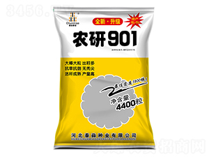 農(nóng)研901-春淼種業(yè)