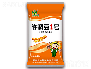 許科豆1號(hào)-大豆種子-許科種業(yè)