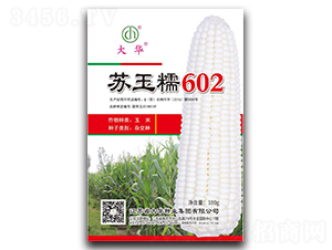 蘇玉糯602-玉米種子-大華種業(yè)