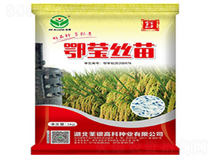 鄂瑩絲苗-水稻種子-荃銀高科