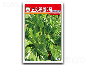 五彩翠苔3號(hào)-菜苔種子-興蔬種業(yè)