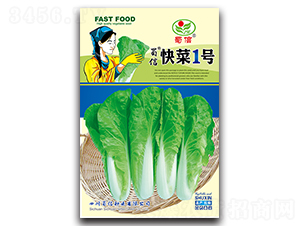 快菜1號(hào)-青菜種子-蜀信種業(yè)