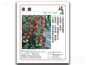 冬美無(wú)限粉果櫻桃番茄-番茄種子-徽大農(nóng)業(yè)