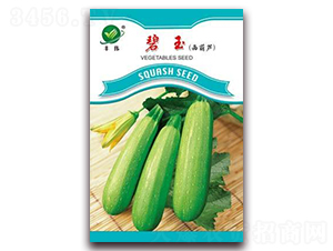 碧玉-菜用西葫蘆種子-金鵬種業(yè)