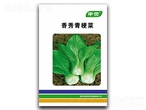 香秀青梗菜-青梗菜種子-申榮農(nóng)業(yè)