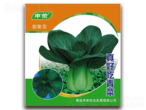 真好吃青菜-青梗菜種子-申榮農(nóng)業(yè)