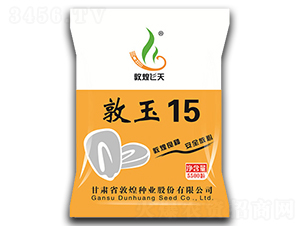 敦玉15（5500粒）-玉米種子-敦煌種業(yè)