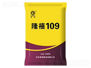 隆禧109-玉米種子-聯(lián)創(chuàng)種業(yè)