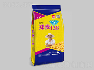 國審鄭麥136（12kg）-小麥種子-帝益麥種業(yè)