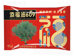 油菜種子-添福油609-仁禾農(nóng)業(yè)