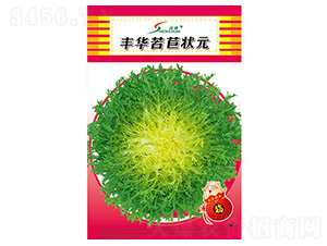 豐華苦苣狀元-苦苣種子-豐華種業(yè)