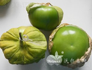 綠寶石F1（綠色帶皮特色番茄品種）-番茄種子-沃爾富斯