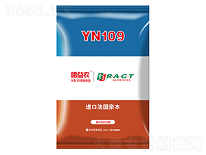 YN109-玉米種子-益農(nóng)種業(yè)