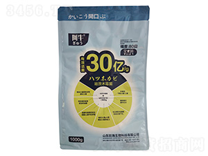 1000g΢-ţ-޺