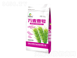 萬麥壹號12.5kg-萬家糧倉-萬擔(dān)糧