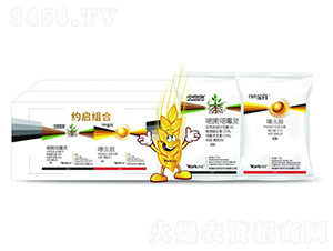 1%嘧菌·噁霉靈顆粒劑+0.5%噻蟲胺顆粒劑-約啟組合-約克農(nóng)化