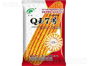 Q玉7號-玉米種子-神農(nóng)科技