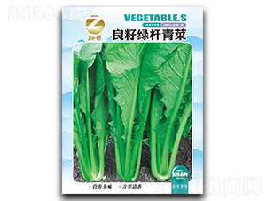 良籽綠桿青菜種子-良籽農(nóng)業(yè)