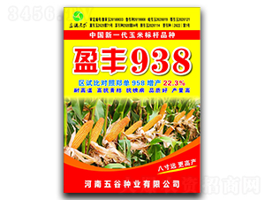 盈豐938玉米種子-盈滿(mǎn)天下-五谷種業(yè)