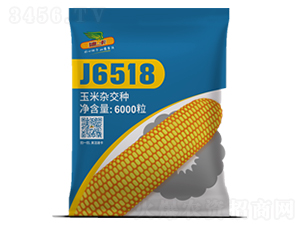 J6518-׷N