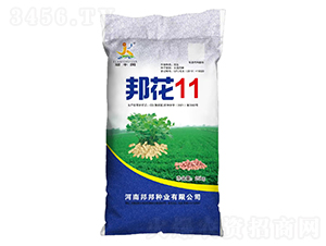 邦花11-冠豐園-邦邦種業(yè)