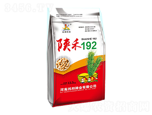 陜禾192小麥種子-邦邦種業(yè)