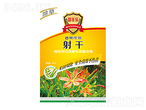 射干鳶尾科中藥材專用除草劑-苗豐樂-苗樂康農(nóng)業(yè)